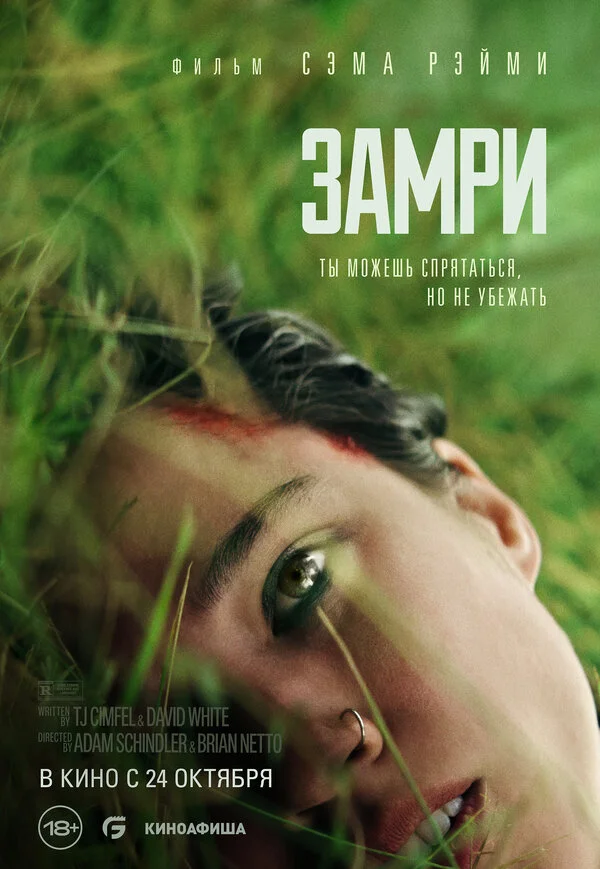 Замри - постер фильма